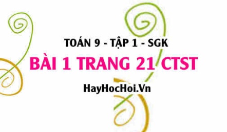 Bài 1 trang 21 Toán 9 tập 1 Chân trời sáng tạo SGK